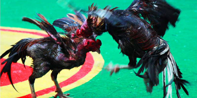 ภาพจำลองขั้นตอนการดูและวิเคราะห์ราคาต่อรองอย่างถูกวิธี
